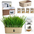 Cat Grass Grow Kit — 4-Batch Indoor Growing Set with Containers, Soil Disks & Seeds | Supports Digestion & Hairball Control | Ready to Grow, No Mess