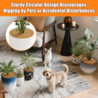 10 Inch Coconut Fiber Mulch Ring, 3 Pcs Tree Protector Mats, Coco Coir Mulch Mat Tree Guards, Plants Disc Soil Cover for Landscaping and Indoor Outdoor Gardening Pot