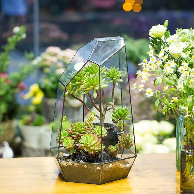 NCYP No Door Large Geometric Terrarium - 16 Inches Irregular Open Glass Terrarium Pot for Tall Cacti, Tall Succulents - Home Garden Tabletop Decoration (NO Plants)