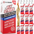 Fly Strips Indoor Sticky Hanging 10pk with Pins. Non Toxic Outdoor Fly Trap Indoor for Home. Flies Tape Paper Trap Ribbon Roll for House Gnat Fruit and Housefly. Bug Catchers for Inside Home Flypaper.
