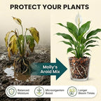 Molly's Aroid Mix - Premium Soilless Potting Mix for Houseplants - Fast Draining, Chunky & Easier to Water vs. Soil for Indoor Plants - with Bark, Coco Chips, Worm Castings, Mycorrhizae 3 Dry Quarts