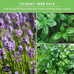 Herb Seeds Variety Pack | 10 Culinary Herbs for Planting – Basil, Cilantro, Lavender, Dill, Parsley, Oregano, Thyme, Sage, Chives, Marjoram – Indoor Kitchen Herb Kit – Survival Garden Seeds