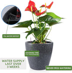 Dexceder 13x12 Self Watering Planter with Wheels (Stone Matte) | Inner Pot Design, Thickened Large Floor Standing Flower Plant Pot with Water Level Indicator Indoor Outdoor
