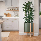 D'vine Dev Planter Pot with Stand - 14 Inch Plastic Cylinder Flower Pot with Wood Planter Holder for Indoor, Olive Pot + Natural Stand, 55-C-S-3