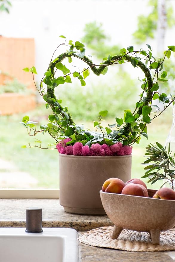 SuperMoss (22242) Heart Plant Trellis, 16" x 13"