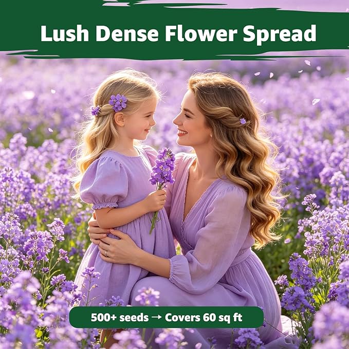 800+ Purple Aubrieta Rock Cress Seeds for Planting, Perennial Ground Cover Flower Seeds for Rock Gardens, Borders & Slopes, Attracts Butterflies & Pollinators