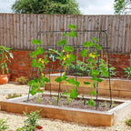 Garden Trellis for Climbing Plants Outdoor, 5.3x5.3ft Garden Trellis Climbing Plant Support Plastic-Coated Metal U-Shaped Vine Vegetables Tomato Cucumber Trellis Raised Bed, with Netting, Black