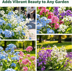 5600+ Forget Me Not Seeds for Planting, Easy to Grow Blue Forget-Me-Not Flowers, Perennial Wildflower Seeds for Ground Cover, Borders & Pollinator Gardens