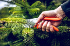 Loewe 1107 Garden Scissors Ergonomic 20 cm for Branches Up To 22 mm