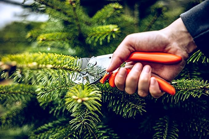 Loewe 1107 Garden Scissors Ergonomic 20 cm for Branches Up To 22 mm