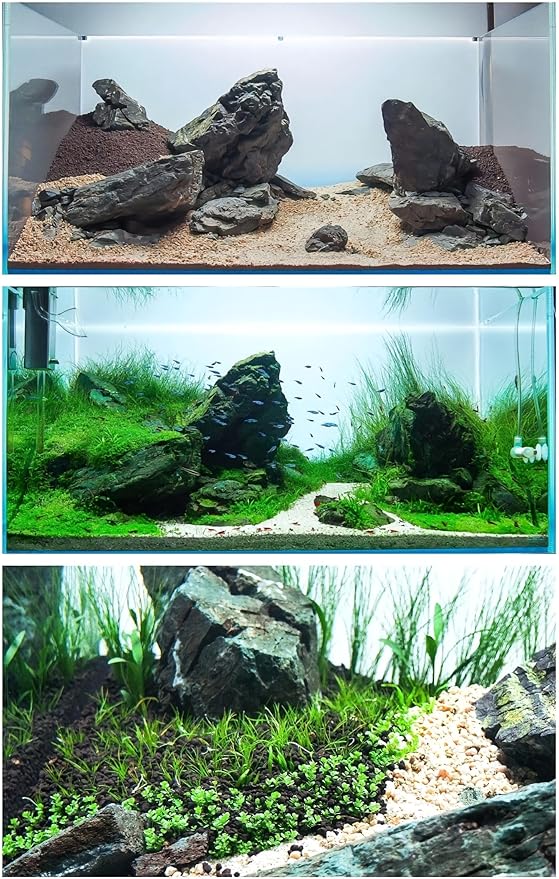 4 Bags Aquarium Plant S.e.e.ds, not Artificial Plastic Plant, Fish Tank Live Grass for All Substrate