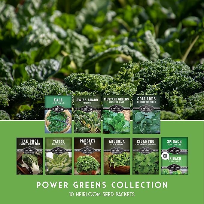 10 Power Greens Seed Collection – Heirloom Collards, Mustard, Swiss Chard, Spinach, Kale, Tatsoi, Pak Choi & More for Fall & Spring Planting | Survival Garden Seeds
