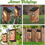 Dreyoo 2 Pack Bluebird Box Houses for Outside,1-1/2'' Entrance Hole Wooden Bird Houses with Metal Guard, Secure Latch,Fledgling Grooves,Air Vents for Bluebird Wren Swallow (Black Roof,Burnt Wood Body)