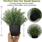 8 Inch Artificial Fake Rosemary Potted Plant, Small Greenery Decor for Shelf Greenery, Realistic Artificial Greenery Pot for Indoor Home Office wall Decor
