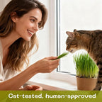 6 Pack Natural Cat Grass Seeds Growing Kit, Easy Growing Pet Grass for Cat & Kittens Indoor Garden, Fresh Cats Grass Set for Chewing, Quick Germination, Ideal for Beginners, Pet Safe