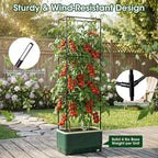 51" Self Watering Planter Box with Trellis, Tomato Planter Trellis for Raised Garden Bed, Tomato Cage with Visual Water Indicator, Indoor Outdoor Tomato Cages for Garden Patio