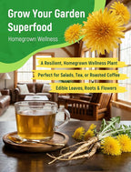Dandelion Seeds for Planting - 4,000+ Heirloom Dandelion Herb Seeds (Taraxacum officinale), Edible Leaves Flowers Roots, Medicinal Garden, Pollinator-Friendly