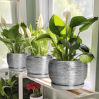 SQOWL Ceramic Plant Pots - 6 Inch Planter for Indoor Outdoor Plants, Modern Round Flower Pots with Drainage Hole and Saucer, Decorative Small Planter, Office Decor, Gifts for Women Men, Silver