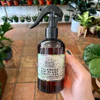 Cute Farms Tillandsia Air Plant Fertilizer | Gentle Weekly Use Formula Plant Food | Formulated Nutrients for Air Plants (Three - 8 oz. Spray Bottle)