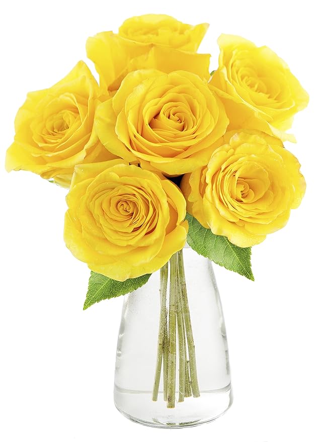 KaBloom - Yellow Sunshine Bouquet of 6 Fresh Cut Yellow Roses (Farm-Fresh, Long-Stem) with Vase - Fresh Flowers for Birthday, Valentine's & Mother's Day