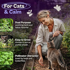 SVI 2500 Catnip Seeds (Nepeta cataria) – Catmint, Best Catnip for Cats Seed Packets, Heirloom Cat Nip Herb Seeds – Outdoor & Indoor Herb Garden, Containers, Herbs Beds