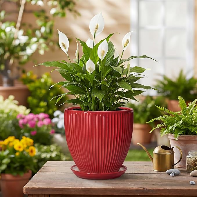Ceramic Planter, 6 Inch Plant Pot Indoor with Drainage Hole and Saucer, Small Pots for Plants, Modern Succulent Flower Pot, Round Planter, House Garden Decor, Plant Gifts for Women Men, Red