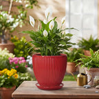Ceramic Planter, 6 Inch Plant Pot Indoor with Drainage Hole and Saucer, Small Pots for Plants, Modern Succulent Flower Pot, Round Planter, House Garden Decor, Plant Gifts for Women Men, Red