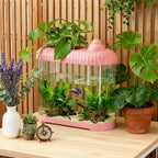 Geelin Pink 2 Gallon Plastic Aquaponic Betta Fish Tank Large Bowl Shatterproof Small Ecosystem Aquarium with Secure Buckle Lid, Clear Clarity for Terrarium, Flower Vase Betta Fish Tabletop Gifts
