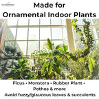 GardenWise Leaf Shine Spray for Indoor Plants – Plant Leaf Cleaner & Shine for Real House Plants – Fragrance-Free, Non-Sticky, Streak-Free Finish, 8 fl oz