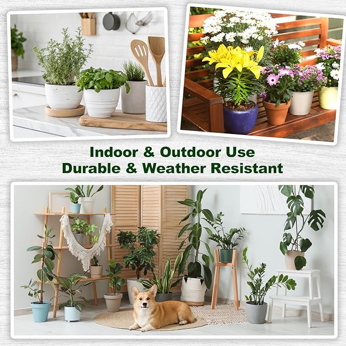 PEDPOPO 6pcs Plant Pot Grids, Thickened Plastic Plant Pot Cover Cat Digging Stopper with Stakes, 11.8 in Plant Protector from Cats Indoor, Potted Guard Cover Easy to Cut Anti Digging for Dogs