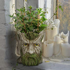 vomiceak Face Planter - Unique Old Man Tree Face Planters for Outdoor Indoor Plants with Drainage Hole, Funny Plant Pots for Succulents - Creative Flower Pots as Gifts for Women and Men (Green Man)