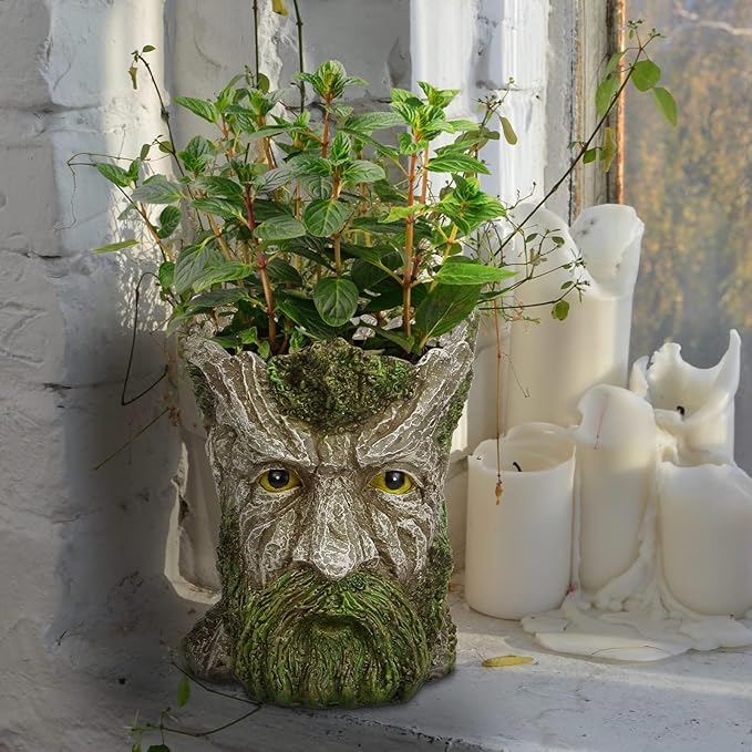 vomiceak Face Planter - Unique Old Man Tree Face Planters for Outdoor Indoor Plants with Drainage Hole, Funny Plant Pots for Succulents - Creative Flower Pots as Gifts for Women and Men (Green Man)