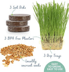 The Cat Ladies Cat Grass for Indoor Cats - Growing Kit - Organic Cat Grass Seeds, Soil and BPA Free Containers (Non GMO) - Locally Sourced Seeds! (3 Pack)