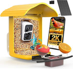 birdsnap® PAV-Bird Feeder with Camera,2K HD with 64GB Card, AI Identify Smart Bird House Cam Solar Panel,Live Stream,Motion Detection,Auto Record Video for Backyard Outdoors,Ideal Gift for Bird Lover