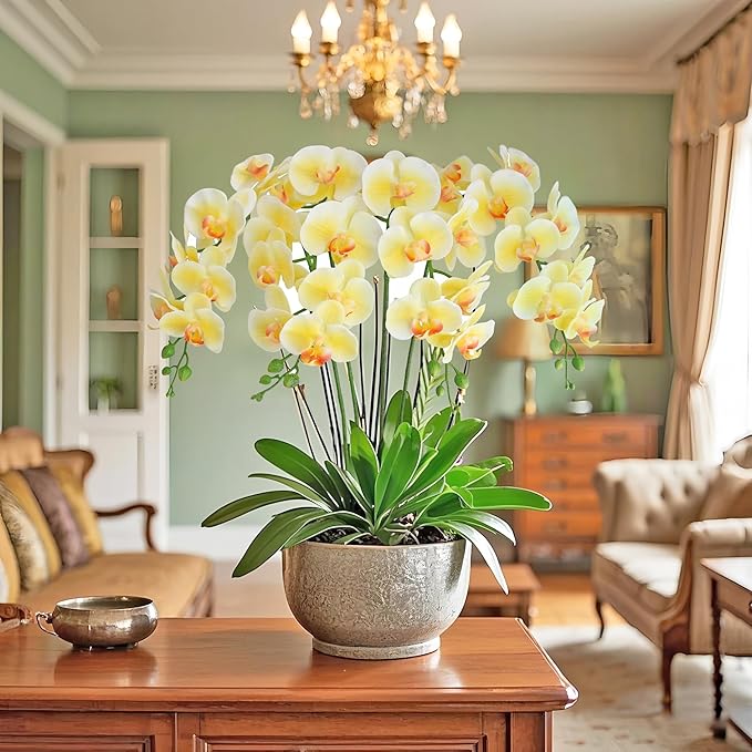 Htmeing 38 Inch Artificial Phalaenopsis Flowers Branches Real Touch (Not Silk) Orchids Flowers for Home Office Wedding Decoration,Pack of 2 (Light Yellow)