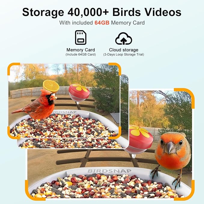 birdsnap® PAV-Bird Feeder with Camera,2K HD with 64GB Card, AI Identify Smart Bird House Cam Solar Panel,Live Stream,Motion Detection,Auto Record Video for Backyard Outdoors,Ideal Gift for Bird Lover
