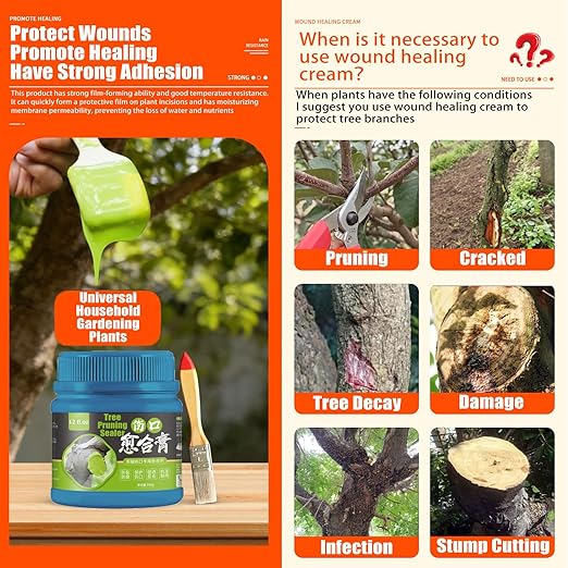 350g/800g Tree Wound Sealer & Pruning Sealer, Bonsai Cut Paste with Brush for Cut, Damaged Bark, Grafting, Ready to Use Seal for Shrub, Bonsai, Roses, Orchard, Horticulture Grade (350g/12fl.oz)