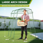 HIRALIY Garden Arch Trellis for Climbing Plants, 6.3ft Tall Heavy Duty Metal Cucumber Trellis, Rustproof Plant Support Tunnel for Tomato, Grape, Bean, Raised Bed and Vegetable Gardens, Green