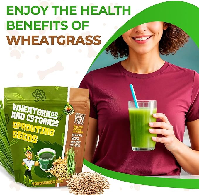 Todd's Seeds Wheatgrass Seeds; Hard Red Winter Wheat, Non-GMO, Chemical Free, High Germination (1/2 Pound)