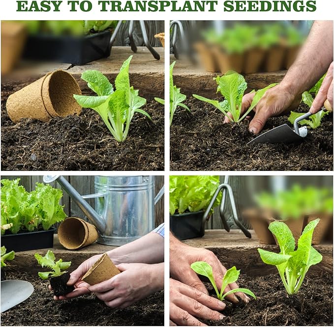 INCIKITI 40Pcs 3.15 Inch Peat Pots, Biodegradable Eco-Friendly Round Plant Seedling Starters Kit, Seed Germination Trays with 10 Labels for Flower Vegetable Tomato Saplings & Herb Germination, Khaki