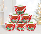 BUZZY Seeds Holiday Candy Cane Mini Terracotta Grow Pots, 6-Pack Peppermint Seeds, Indoor Plant Starter Kit, Stocking Stuffers, Party Favors