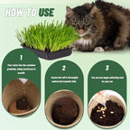Doter Organic Potting Soil for Indoor Cat Grass, Great Seedling Soil for Wheat Grass, Bermuda, Catnip, and All Indoor Herb Plants