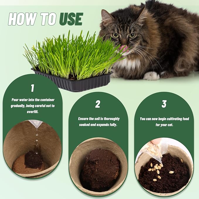 Doter Organic Potting Soil for Indoor Cat Grass, Great Seedling Soil for Wheat Grass, Bermuda, Catnip, and All Indoor Herb Plants