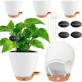 6 Inch Self Watering Pots for Indoor Plants(5-Pack) – Small Plastic Planters with Water Level Window, Drainage Holes & Detachable Trays, Indoor Outdoor Flower Pots for Herbs, Snake,Pothos(White)