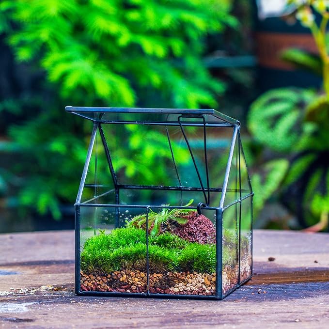 NCYP Mini Glass Terrarium with Lid - 4.25" x 4.25" x 4.92" Small House Shape Close Geometric Planter Pot for Mini Succulents Plant - Handmade, Home Garden Office Decor, Black (Terrarium Only)