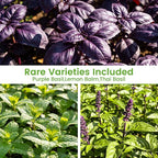 Herb Seeds 15-Pack – 4,500+ Non-GMO Heirloom Seeds for Planting – Indoor & Outdoor Herb Garden Kit with Basil, Cilantro, Rosemary, Thyme, Dill, Sage – Medicinal & Culinary Herb Seeds Variety Pack