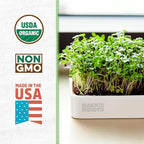 Back to the Roots Organic Microgreens Grow Kit with Ceramic Planter, Expandable Soil, Organic Seeds, and Germination Lid