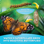 National Geographic Ultimate Butterfly Growing Kit – Butterfly Habitat Kit with Voucher to Redeem 5 Caterpillars (S&H Not Included), Glow-in-The-Dark Figures, Hands-On Activity, Outdoor Toys