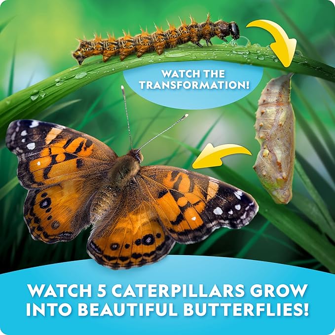 National Geographic Ultimate Butterfly Growing Kit – Butterfly Habitat Kit with Voucher to Redeem 5 Caterpillars (S&H Not Included), Glow-in-The-Dark Figures, Hands-On Activity, Outdoor Toys