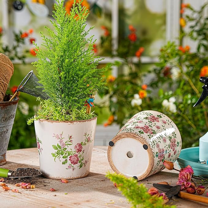 Sungmor Vintage Ceramic Planter Set of 2 - Decorative Indoor & Outdoor Flower Pots with Drainage Holes - Tuscan Décor Pots, 5.5" Ice Crackle Glaze Planters for Home, Kitchen, Patio, and Garden